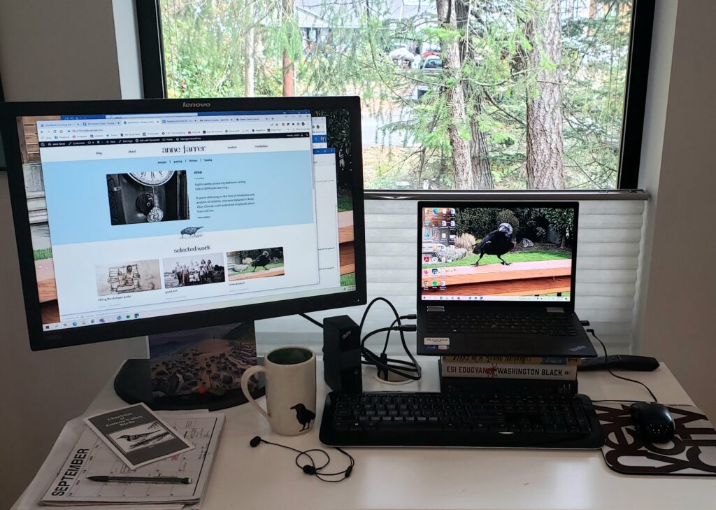 Photo of desk of writer Anne Farrer showing computer screens displaying website