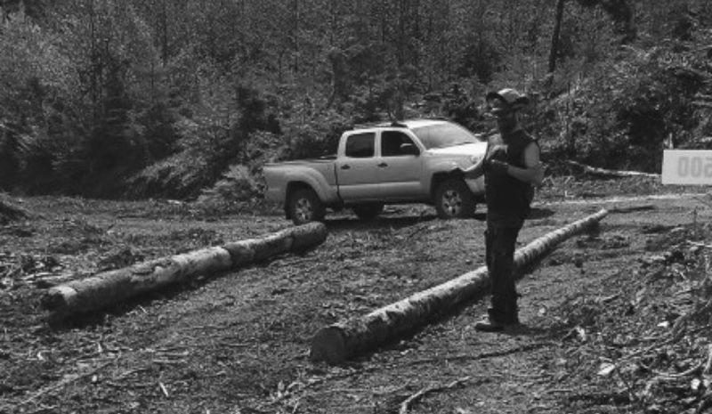 photo of man in a hardhat standing outdoors with logs on the ground and truck in background
