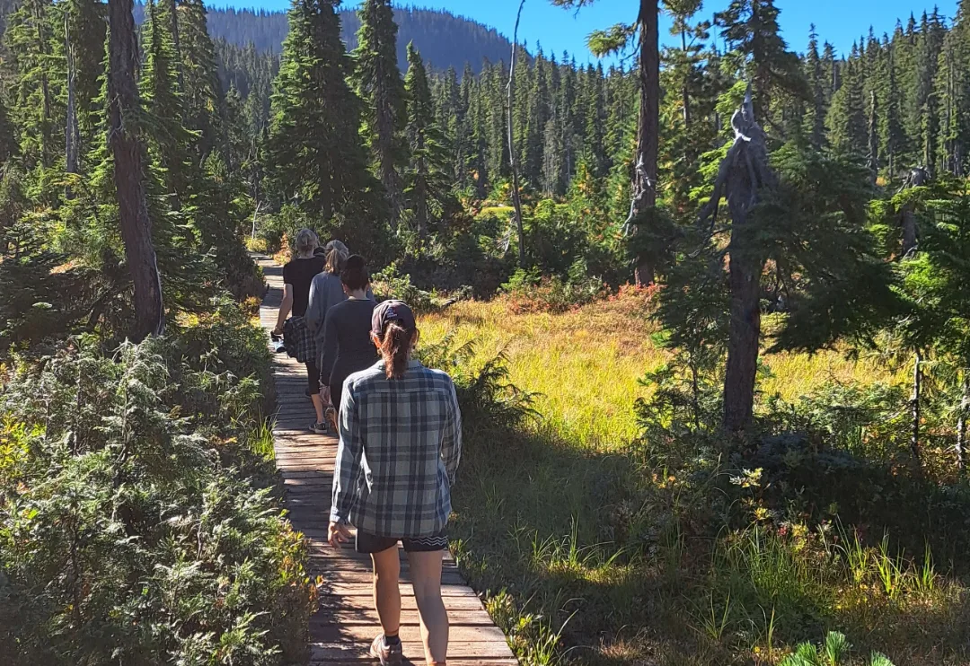Photo of group of women hiking in beautiful landscape