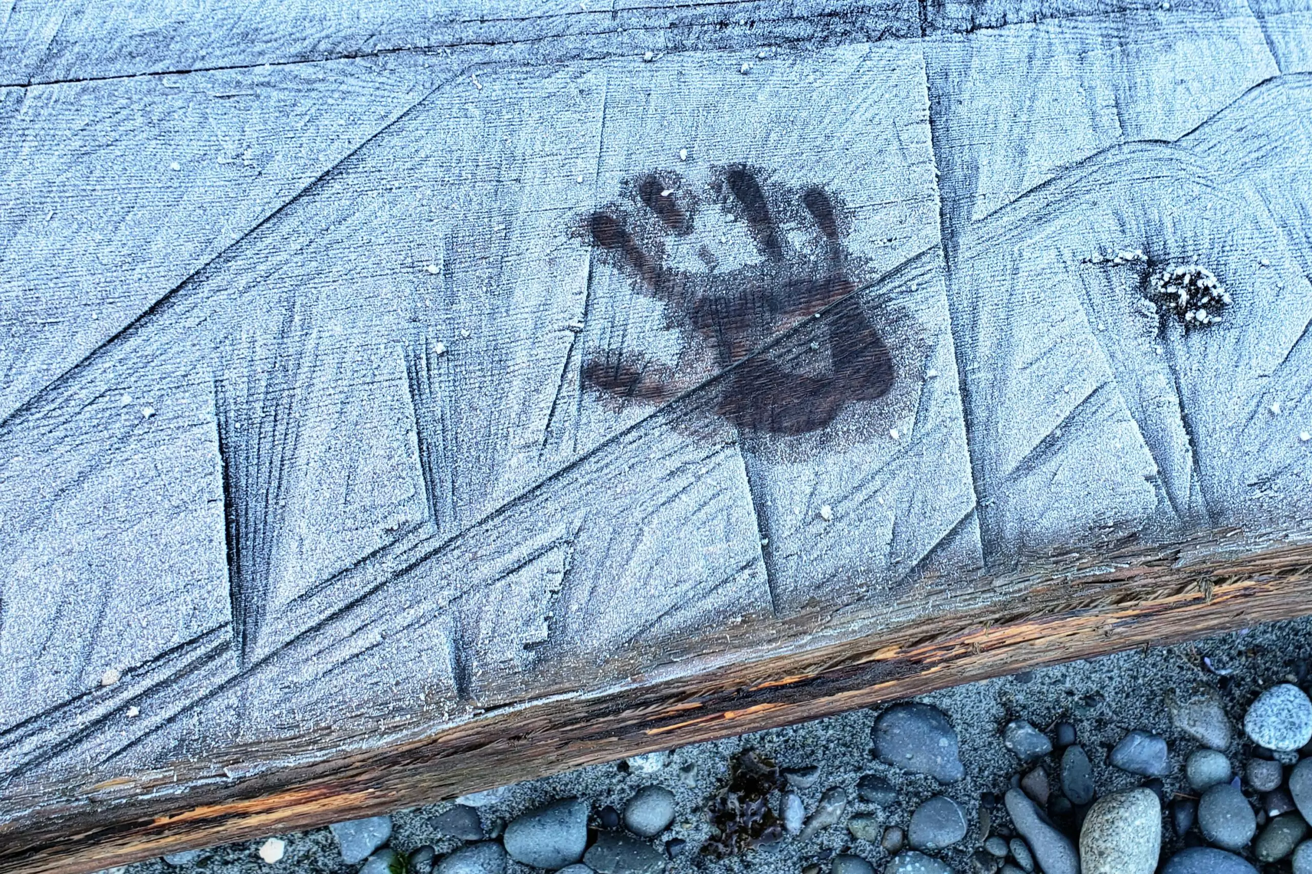 Photograph of handprint in frost