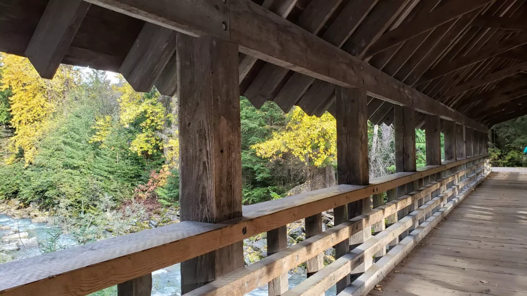 Whistler bridge showing trees in fall colour